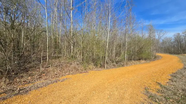 000 Mcclain Drive, New Concord, KY 42076