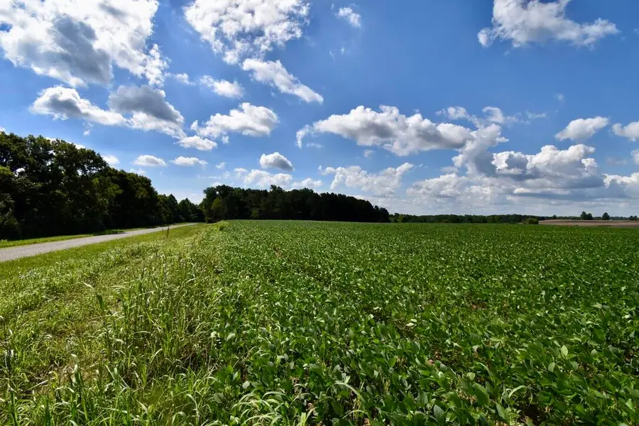 0 N Campbell Cemetery Road, Crofton, KY 42217 - #2
