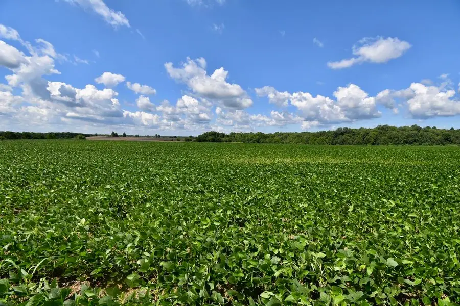 0 N Campbell Cemetery Road, Crofton, KY 42217 - #3
