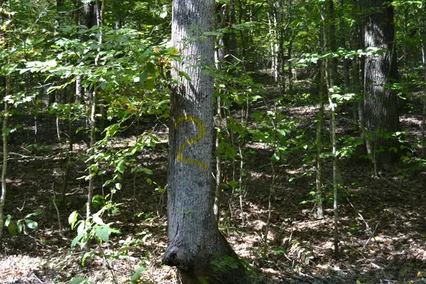 2 Rolling Mill Rd Road, Eddyville, KY 42038