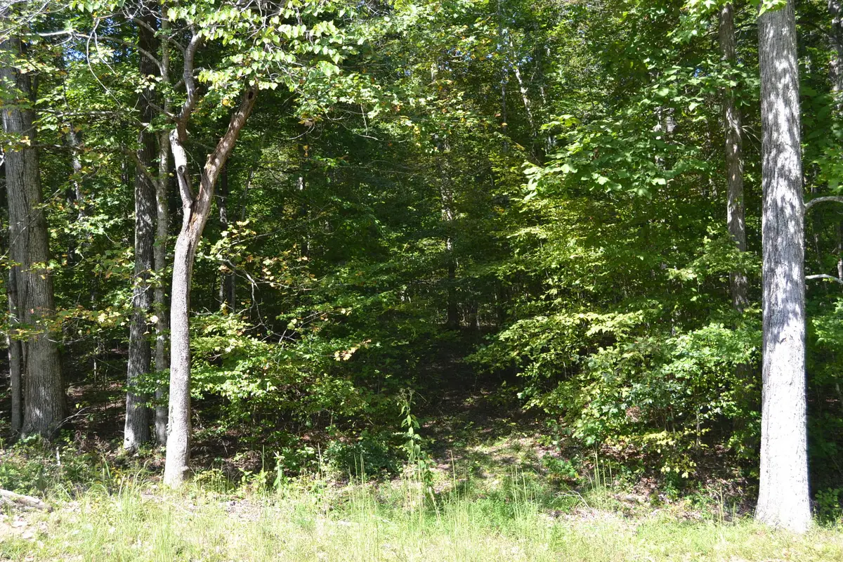 3 Rolling Mill Road, Eddyville, KY 42038 - #1