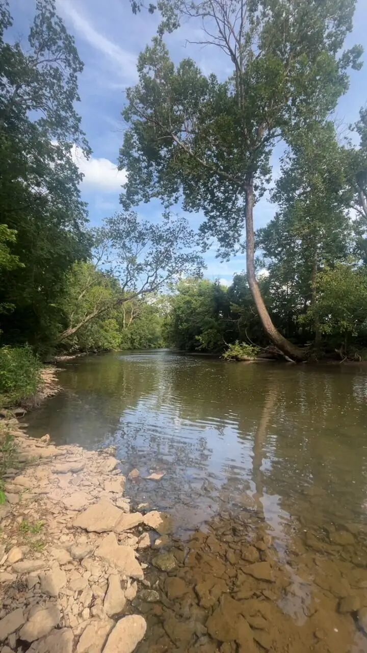 143 Rocky Waters Way, Georgetown, KY 40324 - #2