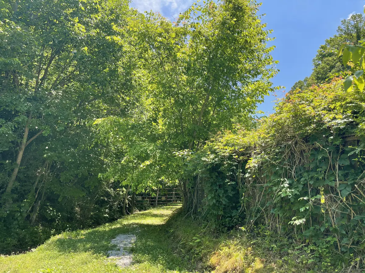 6758 Highway 66, Arjay, KY 40902 - #1
