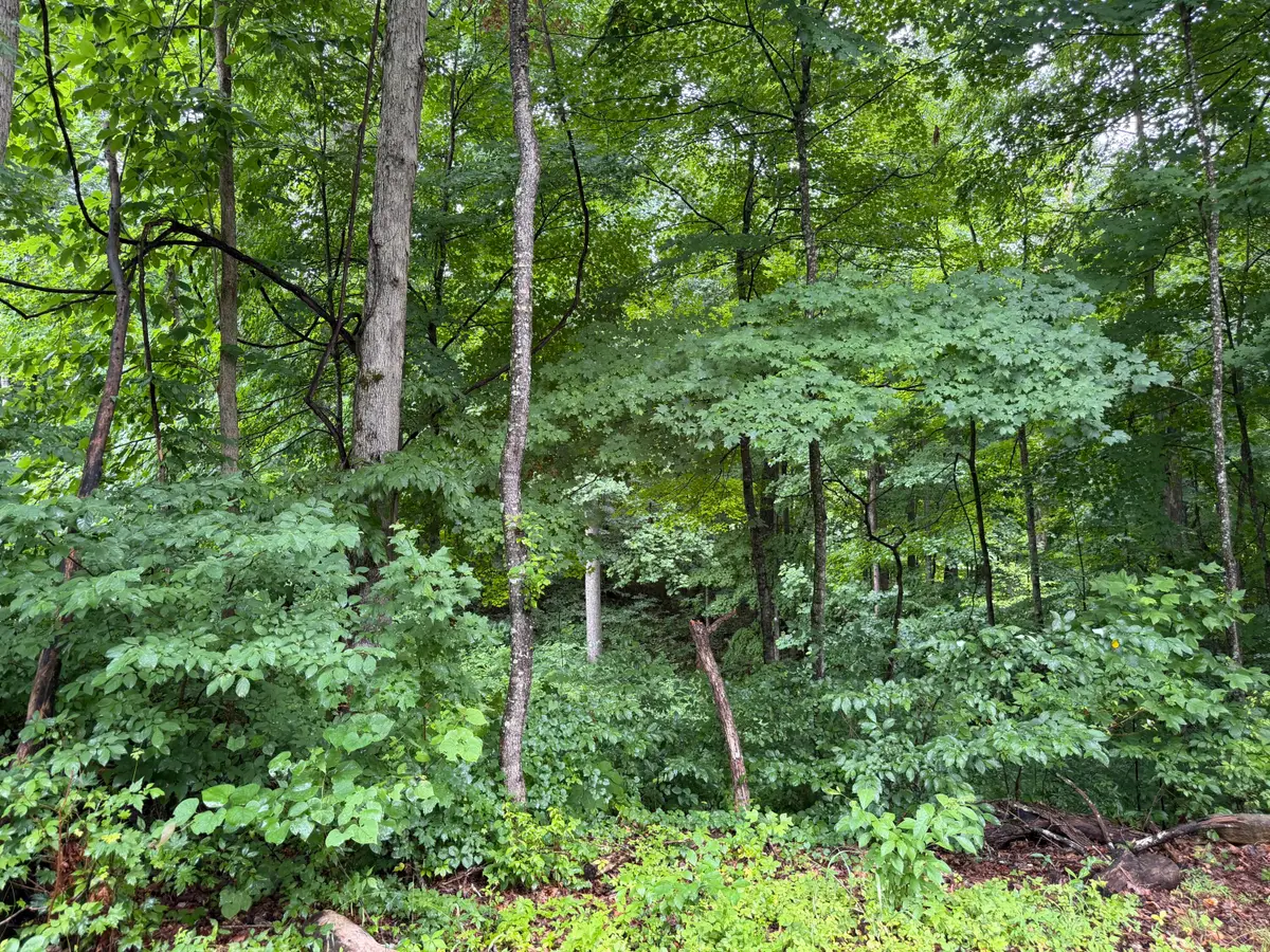 lot 3  George Hardwick Drive, Bronston, KY 42518 - #1