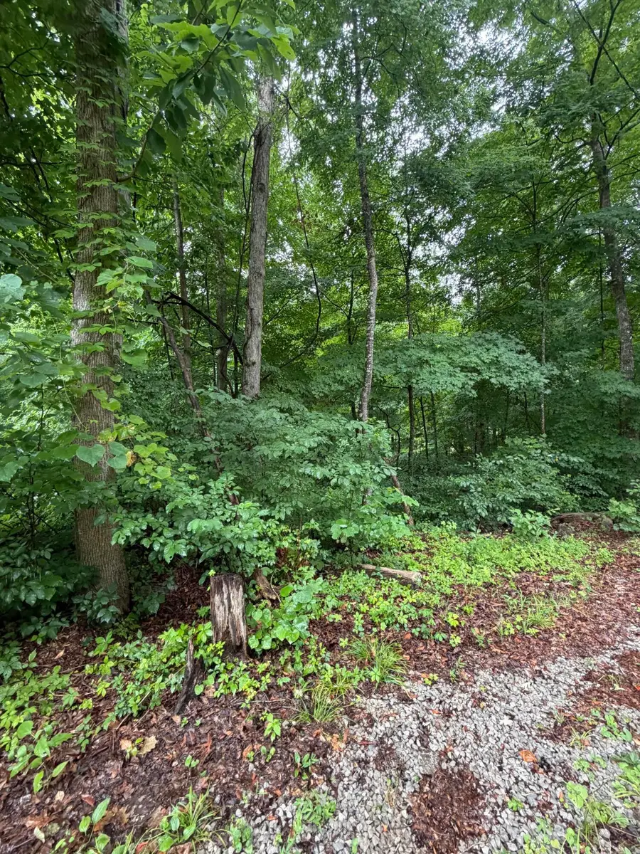 lot 3  George Hardwick Drive, Bronston, KY 42518 - #2