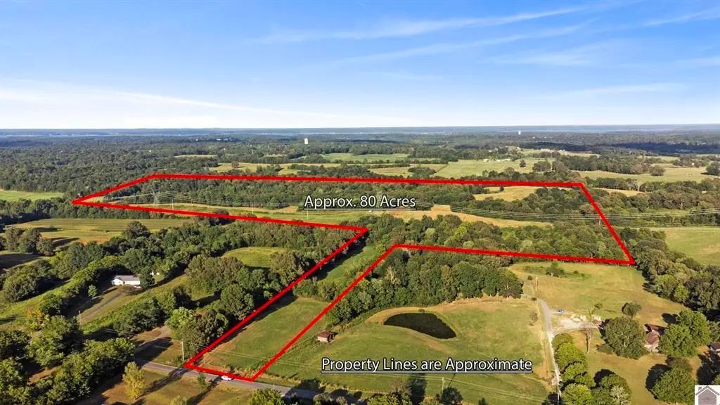54-00-00-077.01 Briensburg Tatumsville Road, Benton, KY 42025 - #1