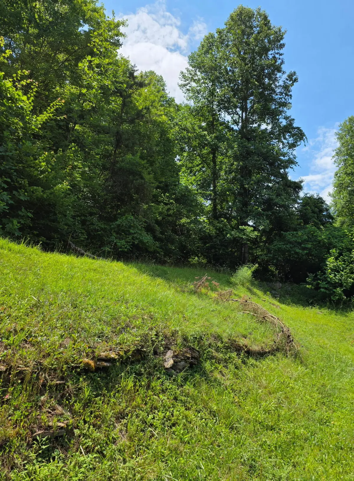 19 Harlan Lane, Buckhorn, KY 41721 - #1