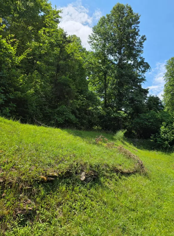 19 Harlan Lane, Buckhorn, KY 41721