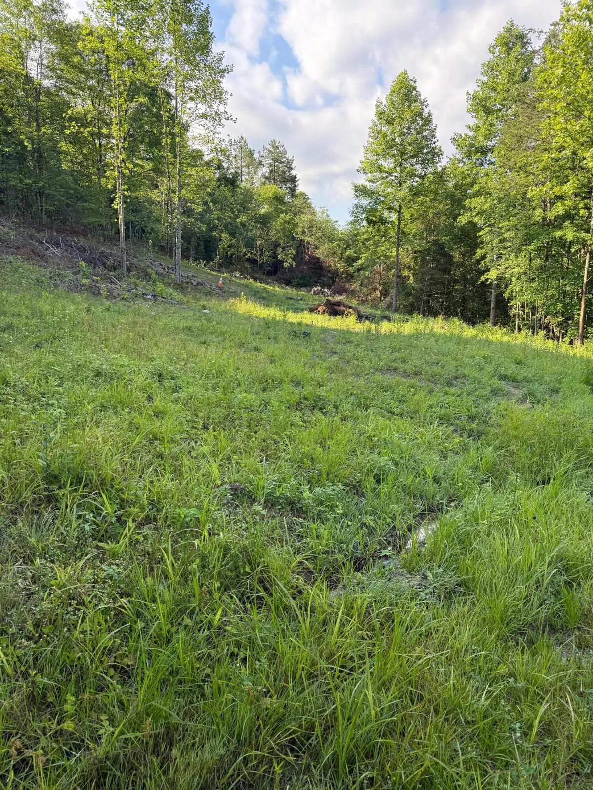 110 Dean Road #Tract 1, McKee, KY 40447 - #1