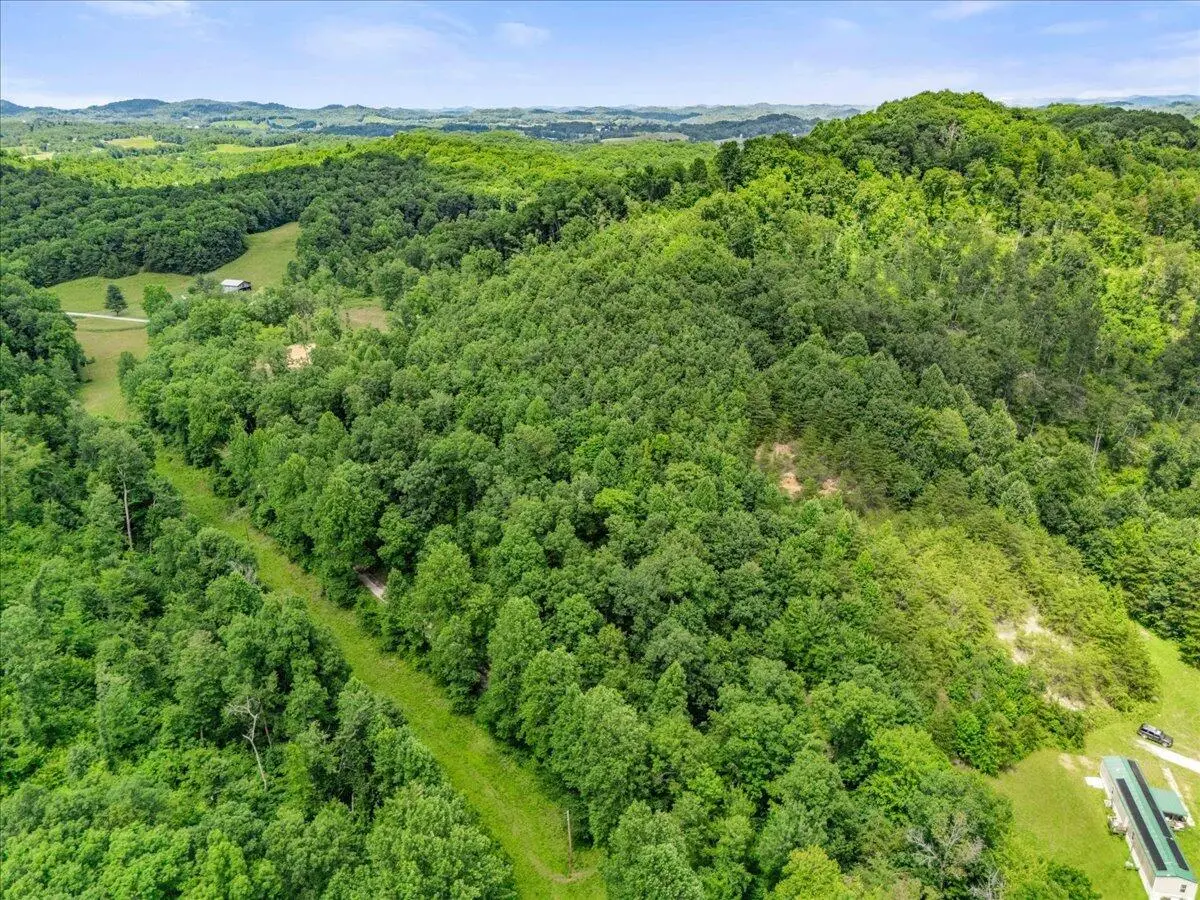520 Gregory Tuttle Road, London, KY 40744 - #1