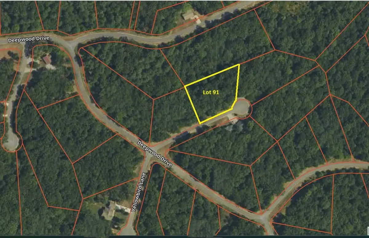 Lot 91 Streetland Lane, Murray, KY 42071 - #1