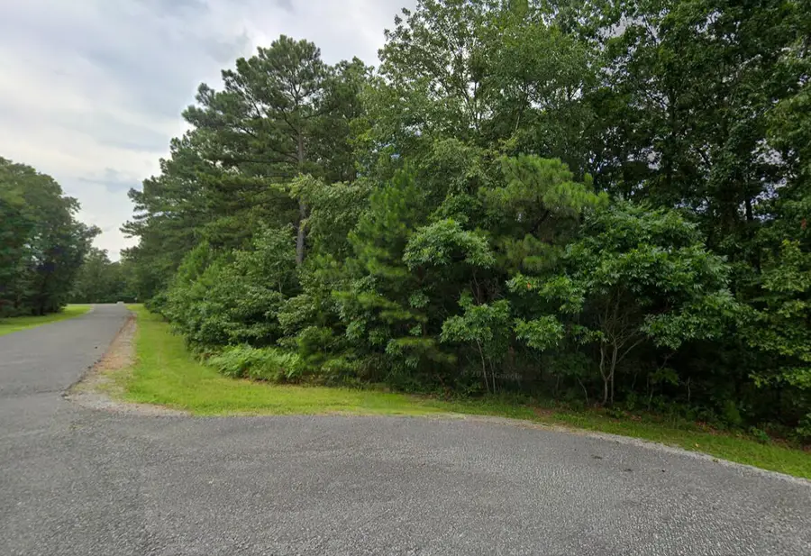 Lot 91 Streetland Lane, Murray, KY 42071 - #2