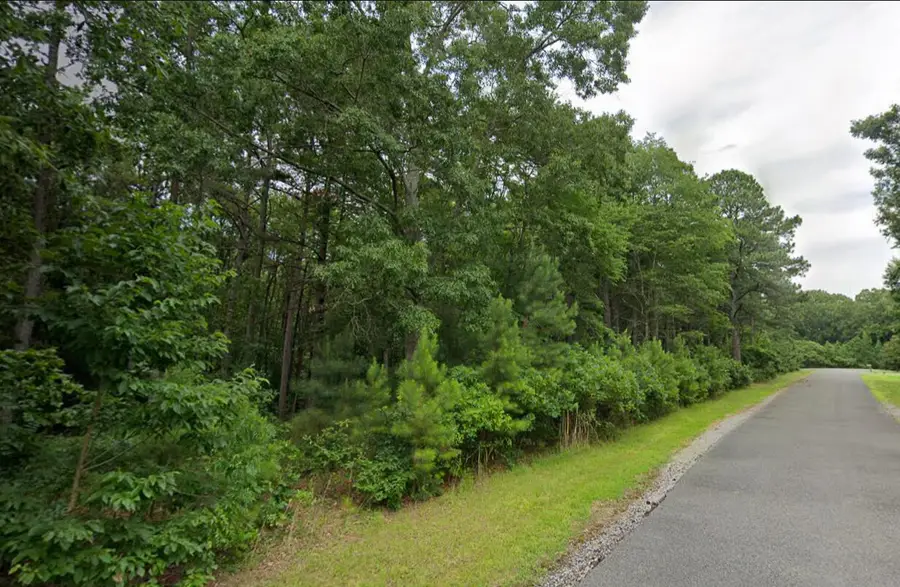 Lot 91 Streetland Lane, Murray, KY 42071 - #3