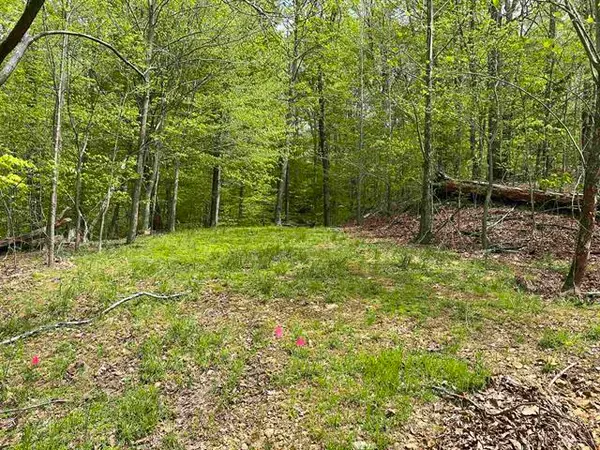 000 Blake Road #Lot 39 & 40, Eddyville, KY 42038