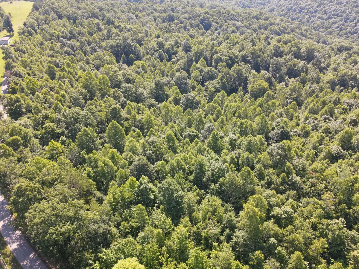 1407 Denton Phelps Road, Somerset, KY 42501 - #1