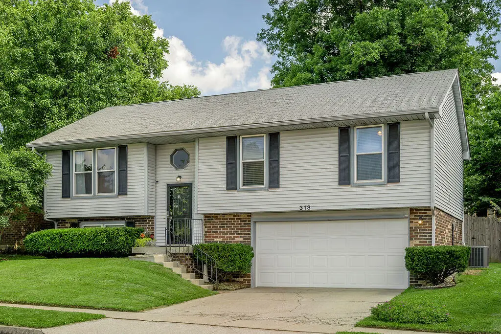 313 Fox Harbour Drive, Lexington, KY 40517 - #1