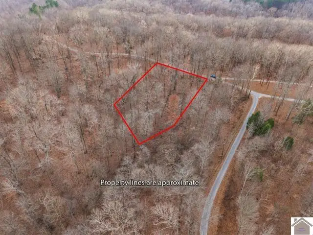000 0 Hurricane Cir Circle, Cadiz, KY 42211 - #2