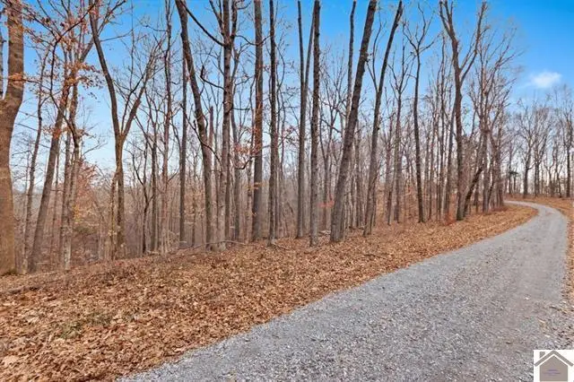 000 0 Hurricane Cir Circle, Cadiz, KY 42211 - #3