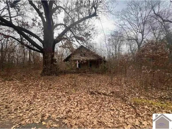 18 Central Street, Arlington, KY 42021