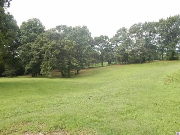 2510 Olive Hamlett Road, Benton, KY 42025