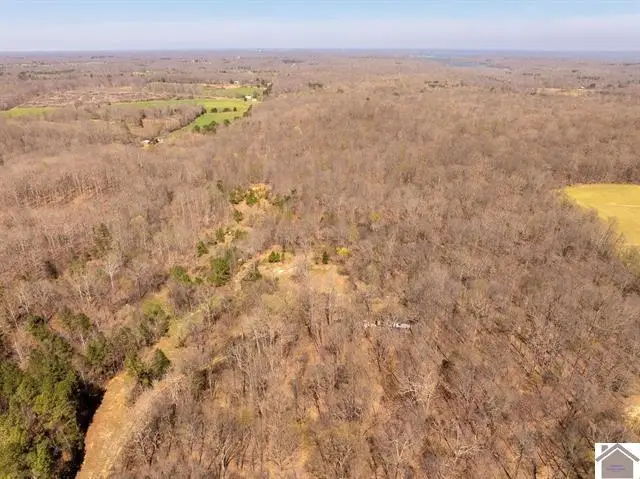 206 Stonebrook Lane, Benton, KY 42025 - #2