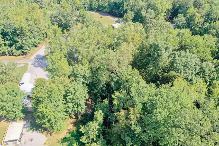 Lot 81 Rockcastle Lakeshore Drive, Cadiz, KY 42211 - #3