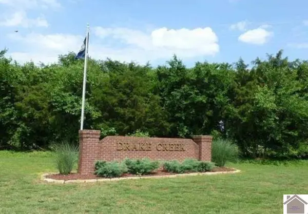 100, 101 Torrey Pines Dr Drive, Ledbetter, KY 42058