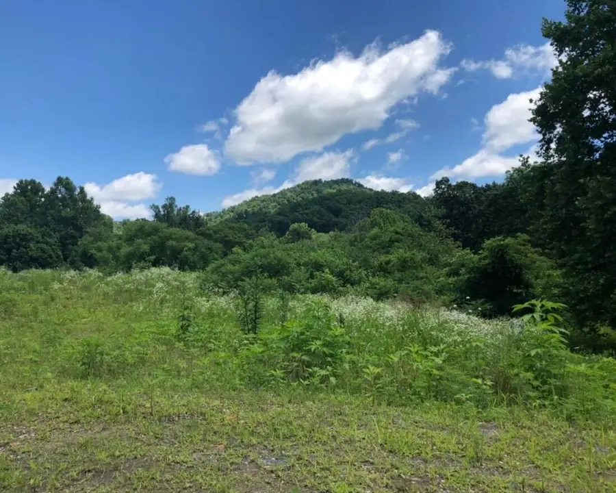 2251 S Highway 421, Manchester, KY 40962 - #3