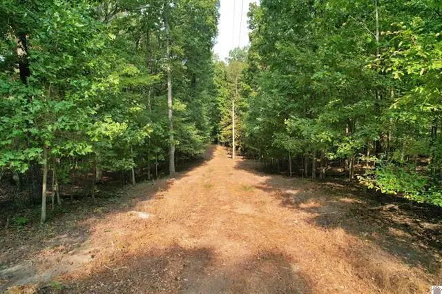 1137 Steamboat Road, Gilbertsville, KY 42044 - #1