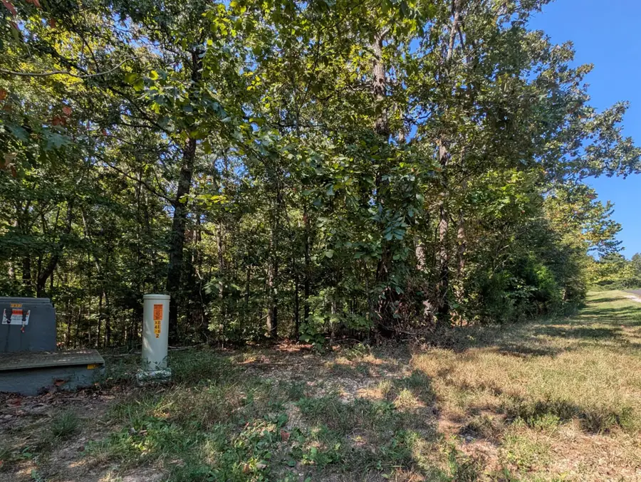 130 Lot 130 Eagle Look Ln Lane, Murray, KY 42071 - #2