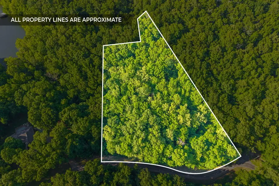 Lot 87 Periwinkle Hill Road, Cadiz, KY 42211 - #3