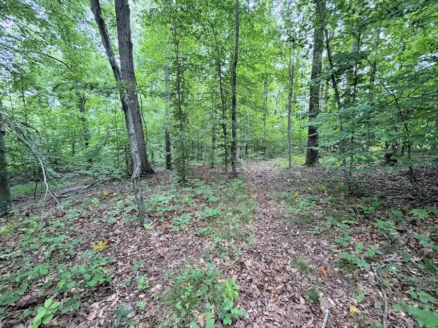 120 Troy Avenue, Stanford, KY 40484 - #3