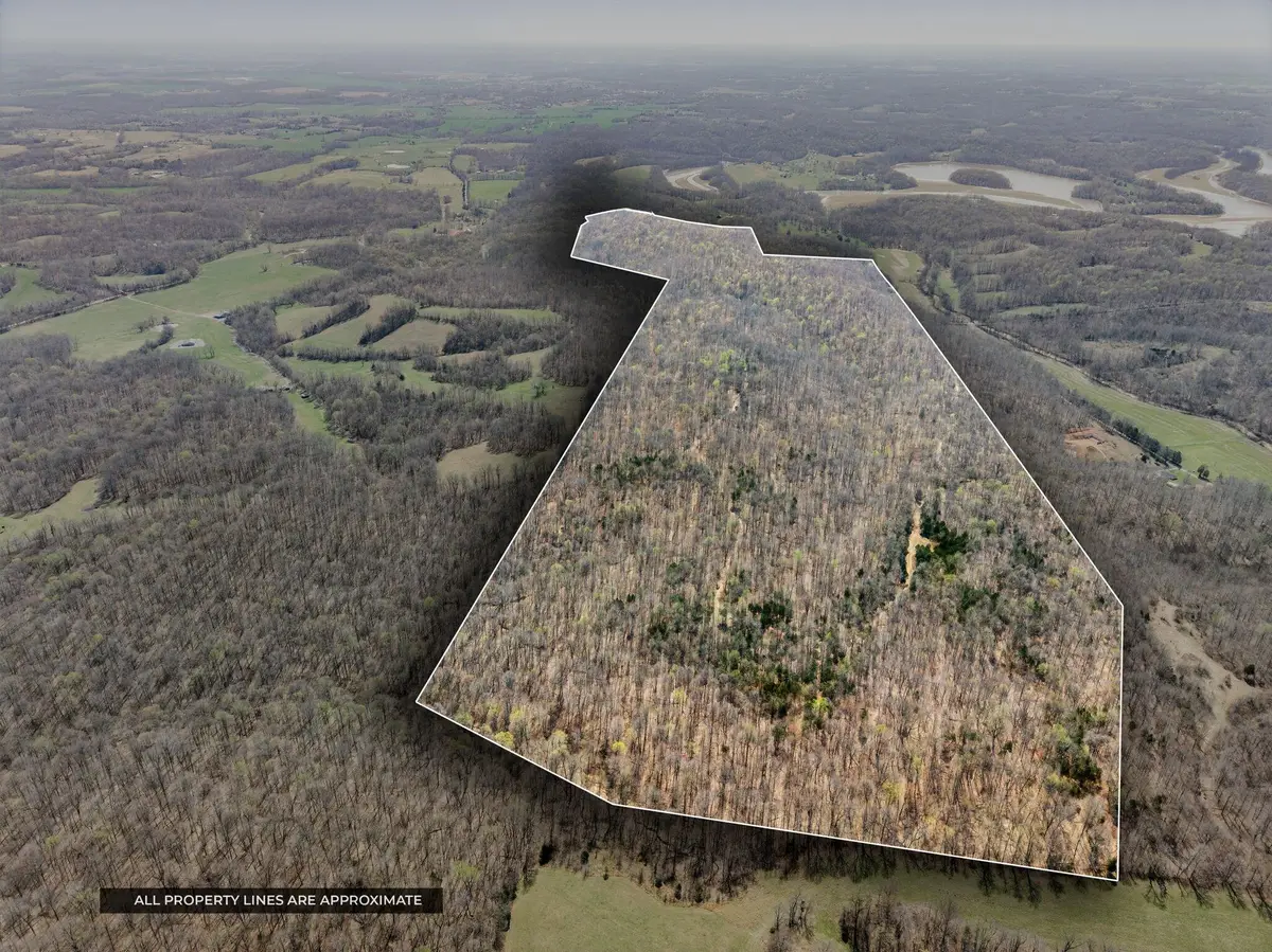 4220 Will Jackson Rd Road, Cadiz, KY 42211 - #1