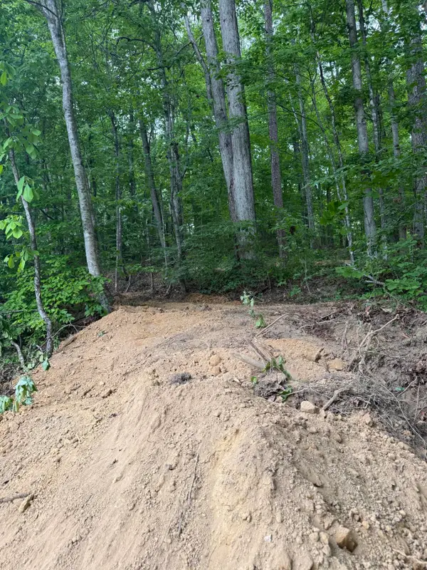 Lot 167 Ashland Camp Loop, Beattyville, KY 41311