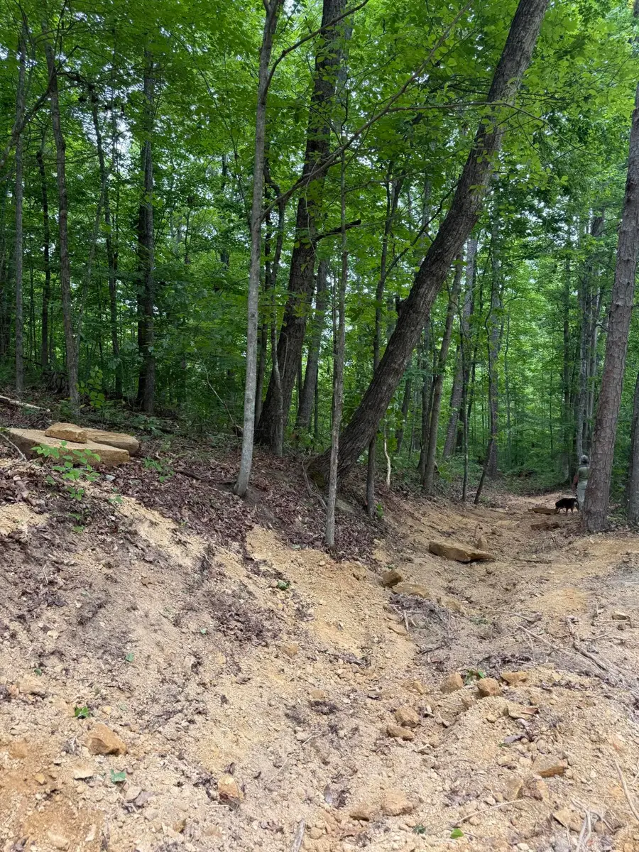 Lot 164 Ashland Camp Loop, Beattyville, KY 41311 - #2
