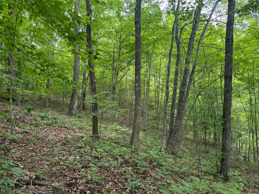 Lot 165 Ashland Camp Loop, Beattyville, KY 41311 - #3