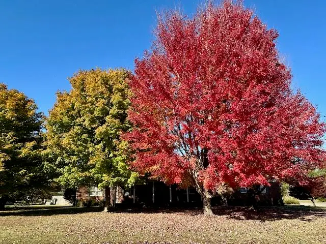 2200 Creekwood Drive, Murray, KY 42071 - #2