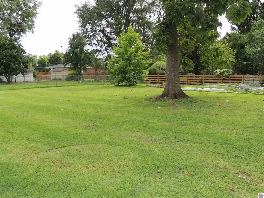 107 N 18th Street, Mayfield, KY 42066 - #3