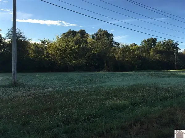 6 Tract# Access Rd Road, Benton, KY 42025