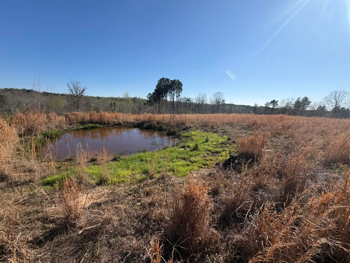 14-009.21 Fire Tower Road, Cadiz, KY 42211 - #1