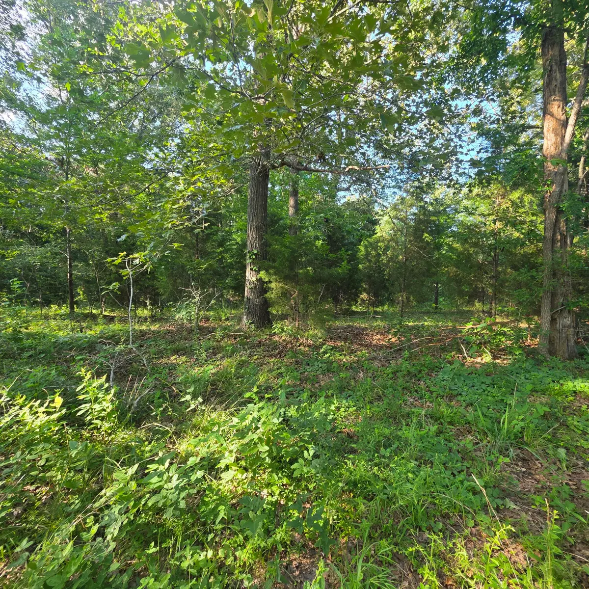 144/145 Valhalla Lane, Benton, KY 42025 - #1