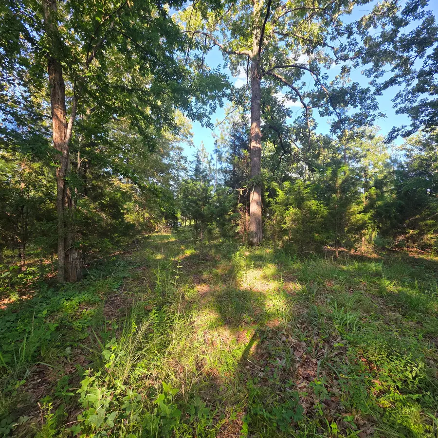 144/145 Valhalla Lane, Benton, KY 42025 - #2