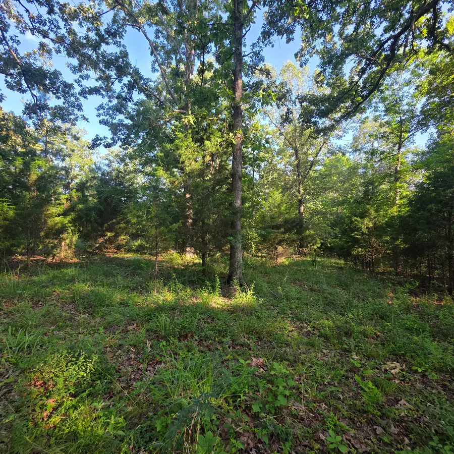 144/145 Valhalla Lane, Benton, KY 42025 - #3