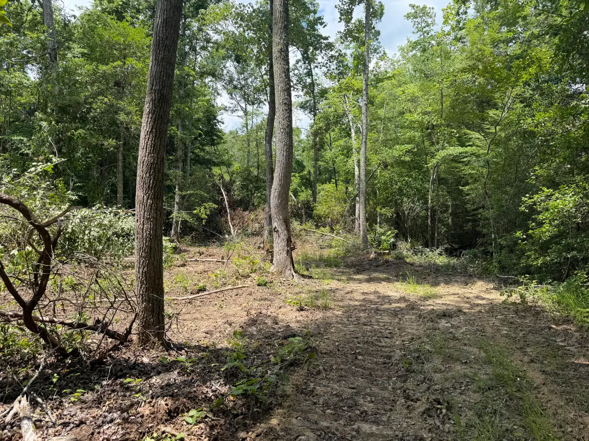 4444 Gibson Lane, Williamsburg, KY 40769 - #1