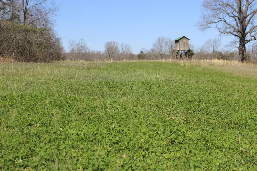 0 Edwards Road, Princeton, KY 42445 - #3