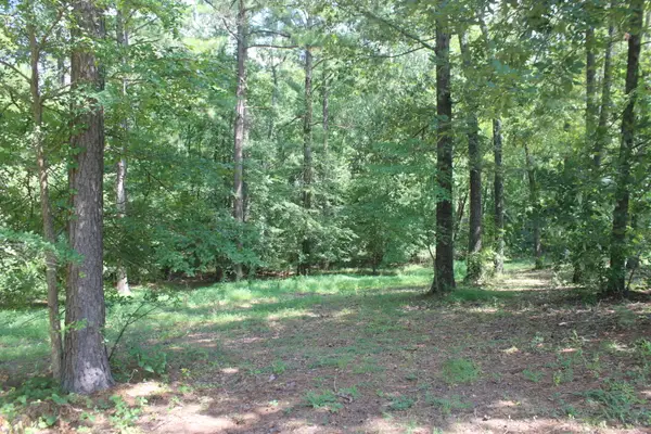 15 Harborview Lane, Benton, KY 42025