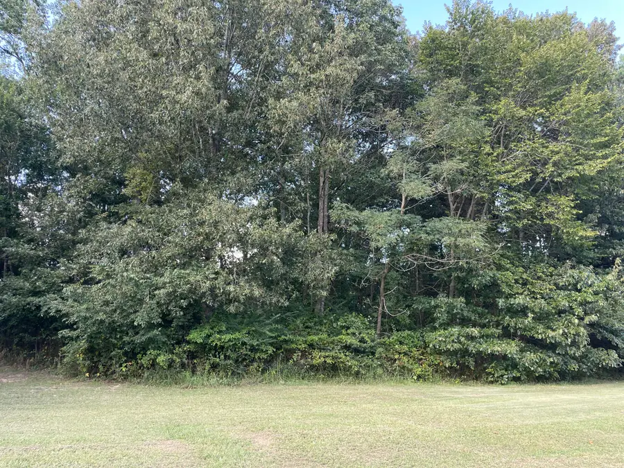 Lot 39 Saddle Creek Subdivision, Murray, KY 42071 - #3