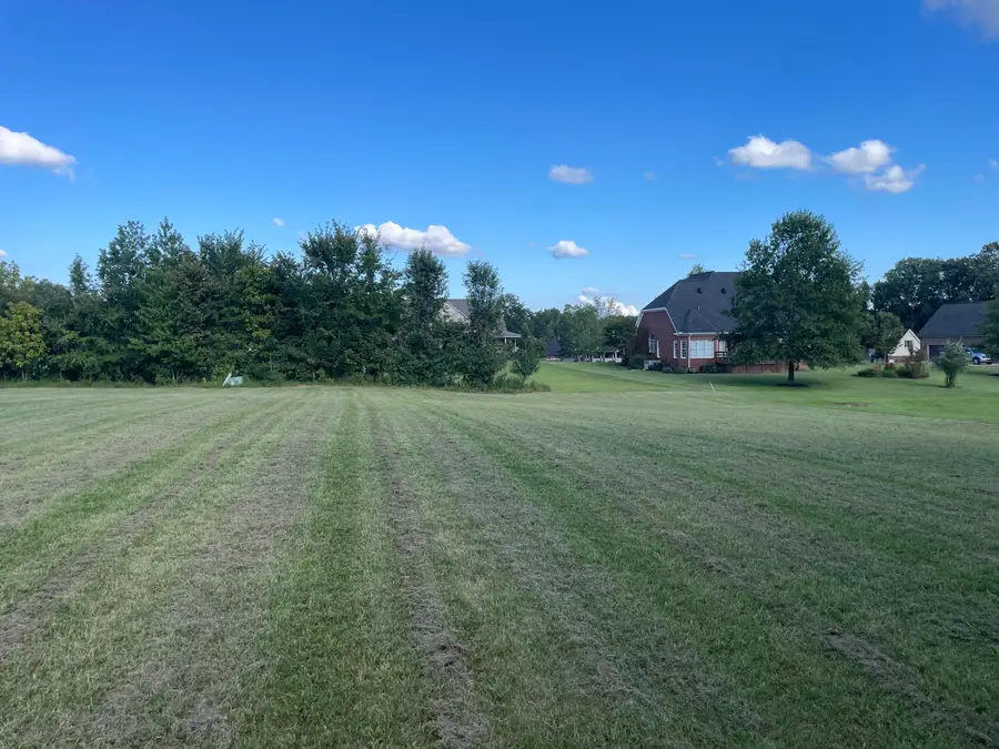 Lot 29 Saddle Creek Subdivision, Murray, KY 42071 - #2