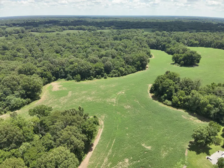 00  Hwy 1591, Bardwell, KY 42023 - #2