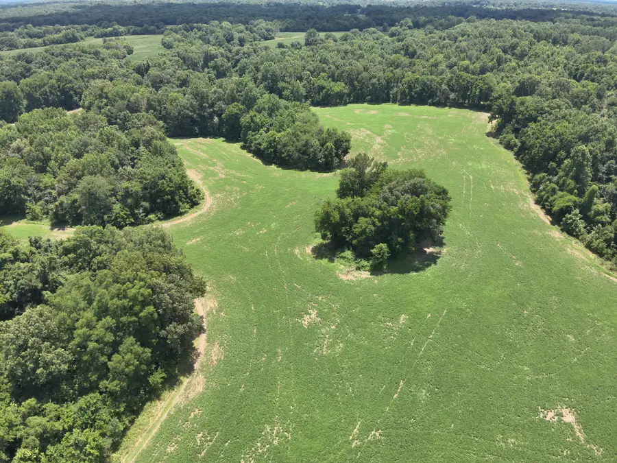 00  Hwy 1591, Bardwell, KY 42023 - #3